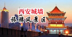 黑人大鸡巴在线视频中国陕西-西安城墙旅游风景区