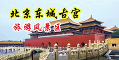 迷奸动态图片中国北京-东城古宫旅游风景区